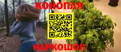 прущие крисы Обь